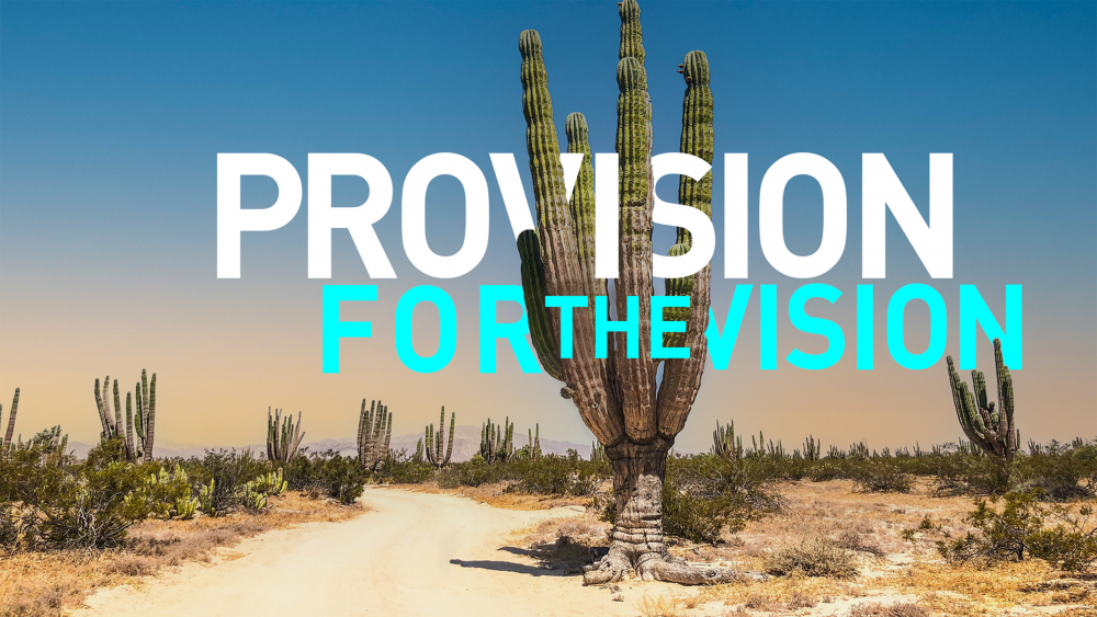 Provision In Vision